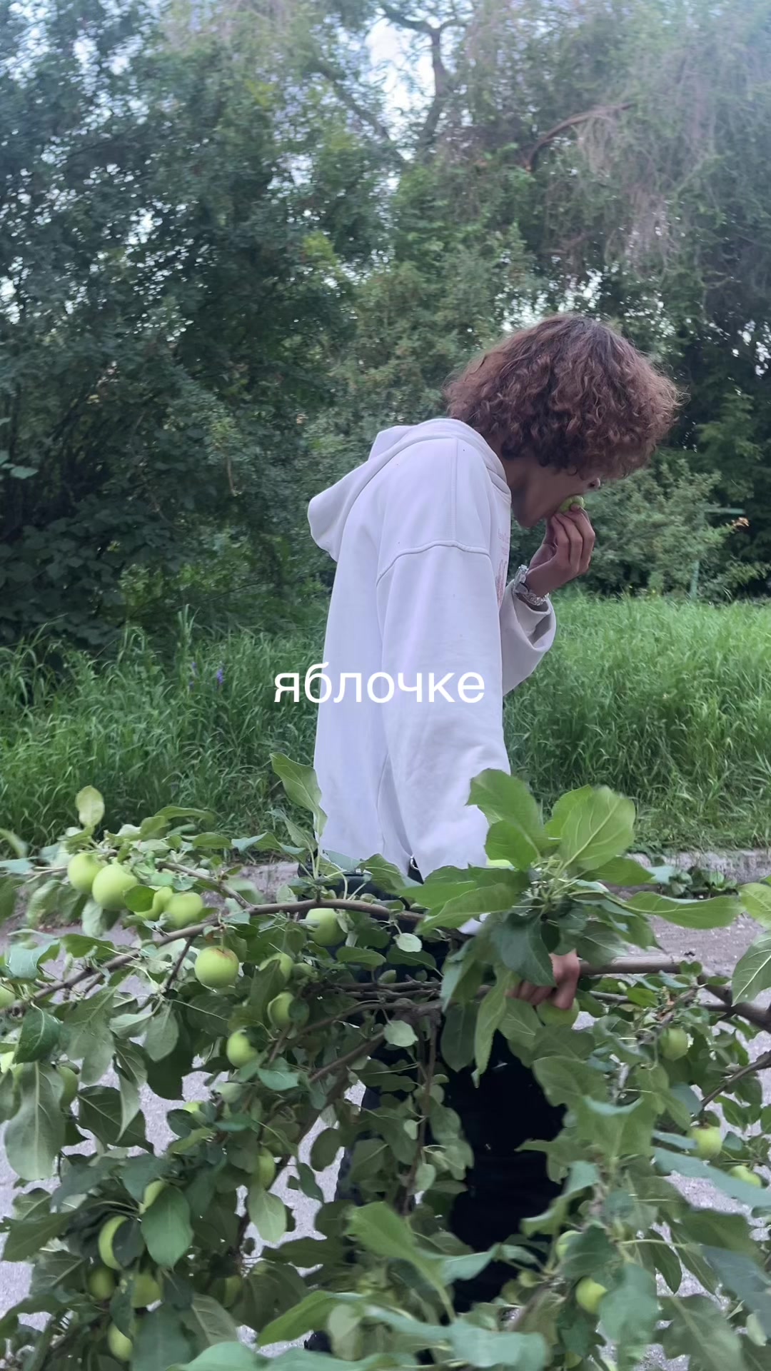 @𝑻𝒆𝒃𝒖𝒍𝒔𝒘𝒂𝒈#𝑴𝑮𝑵🔪🩸