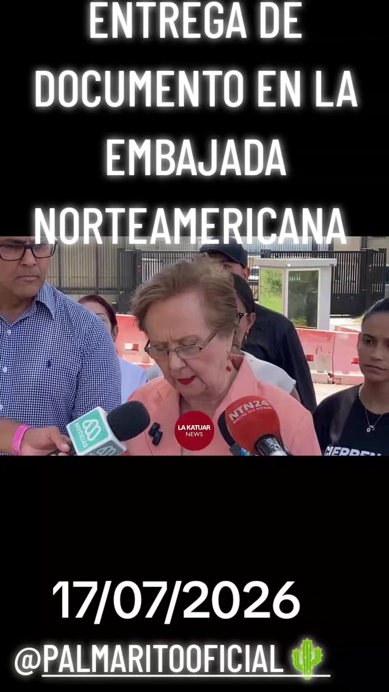 @PALMARITOOFICIAL 🌵