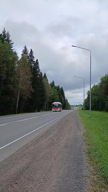 @Михалыч