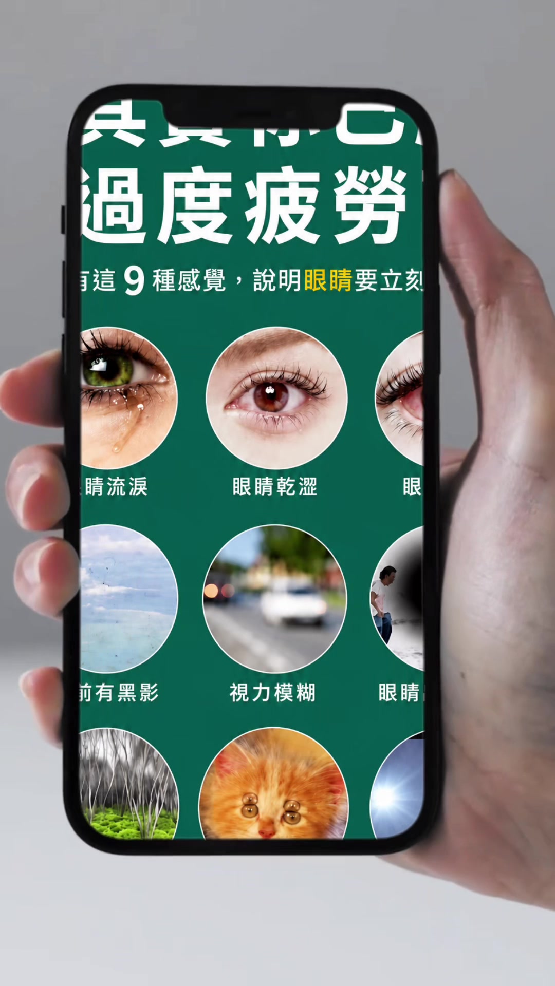 @閃耀吉彩｜視康標竿 Eye Shine Taiwan
