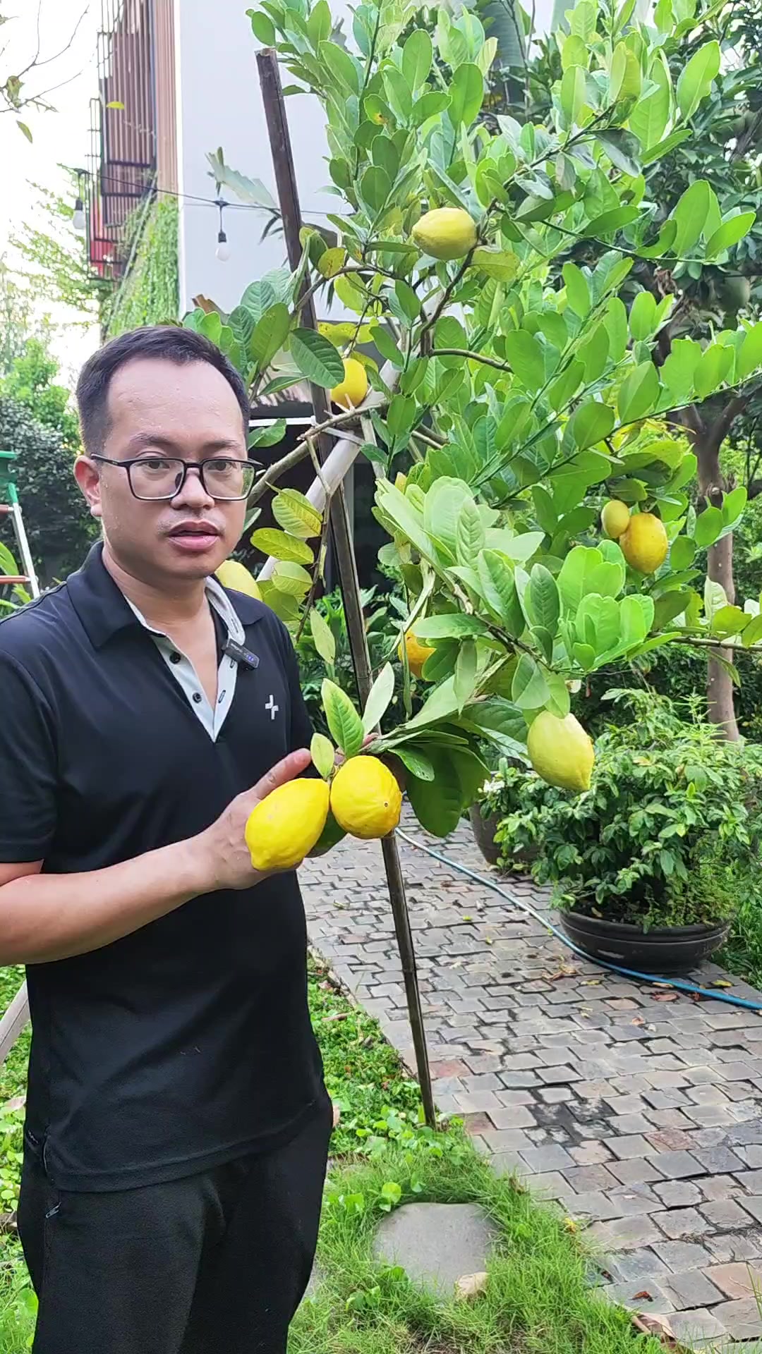 @Dược sĩ cỏ