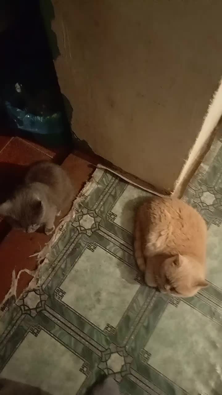 @19Юрик61