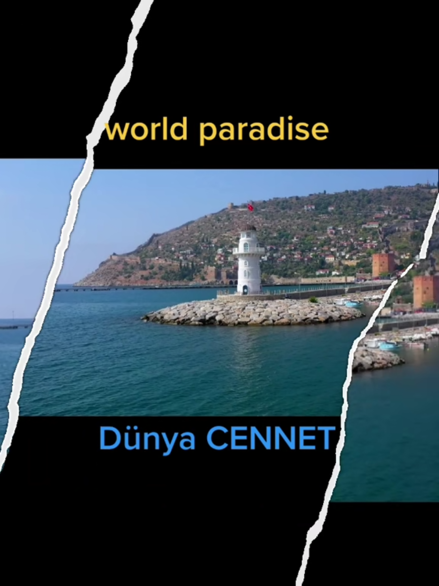 @Umut677✨️