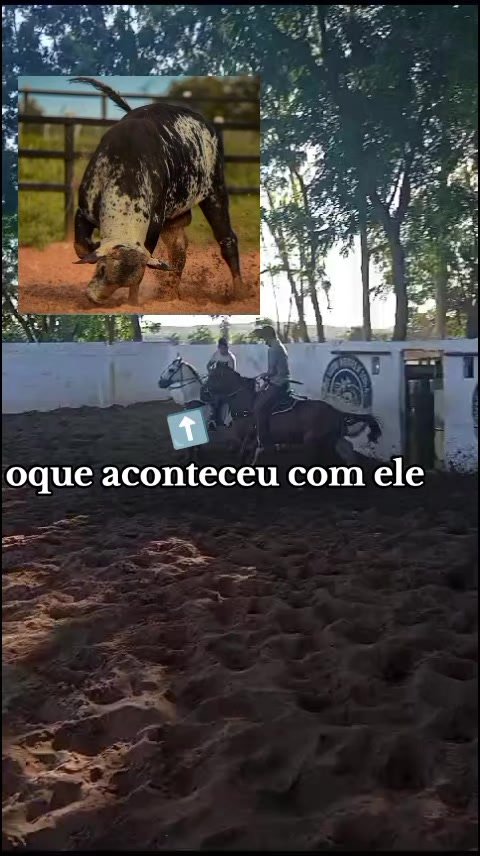 @Kauã Gabriel