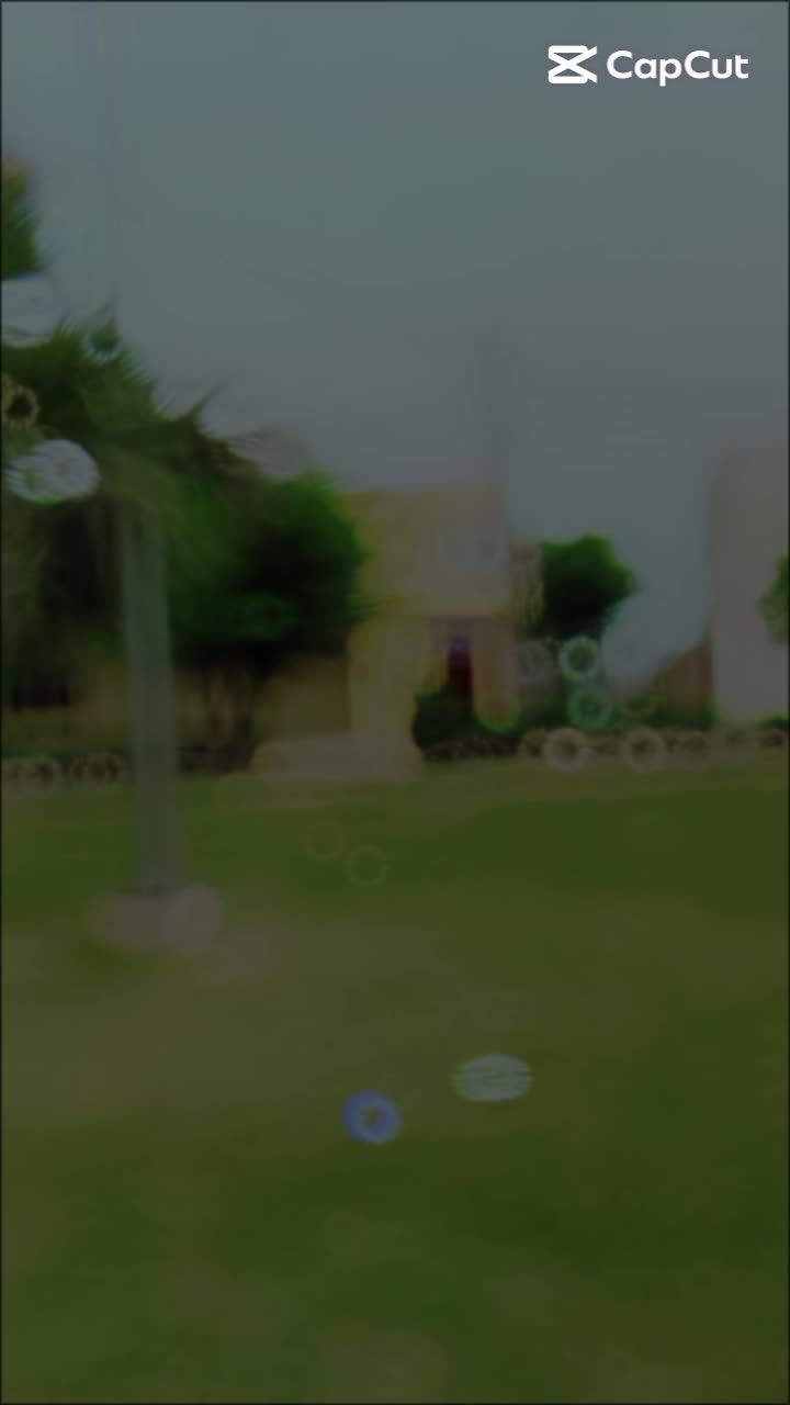 @Rao Aleem