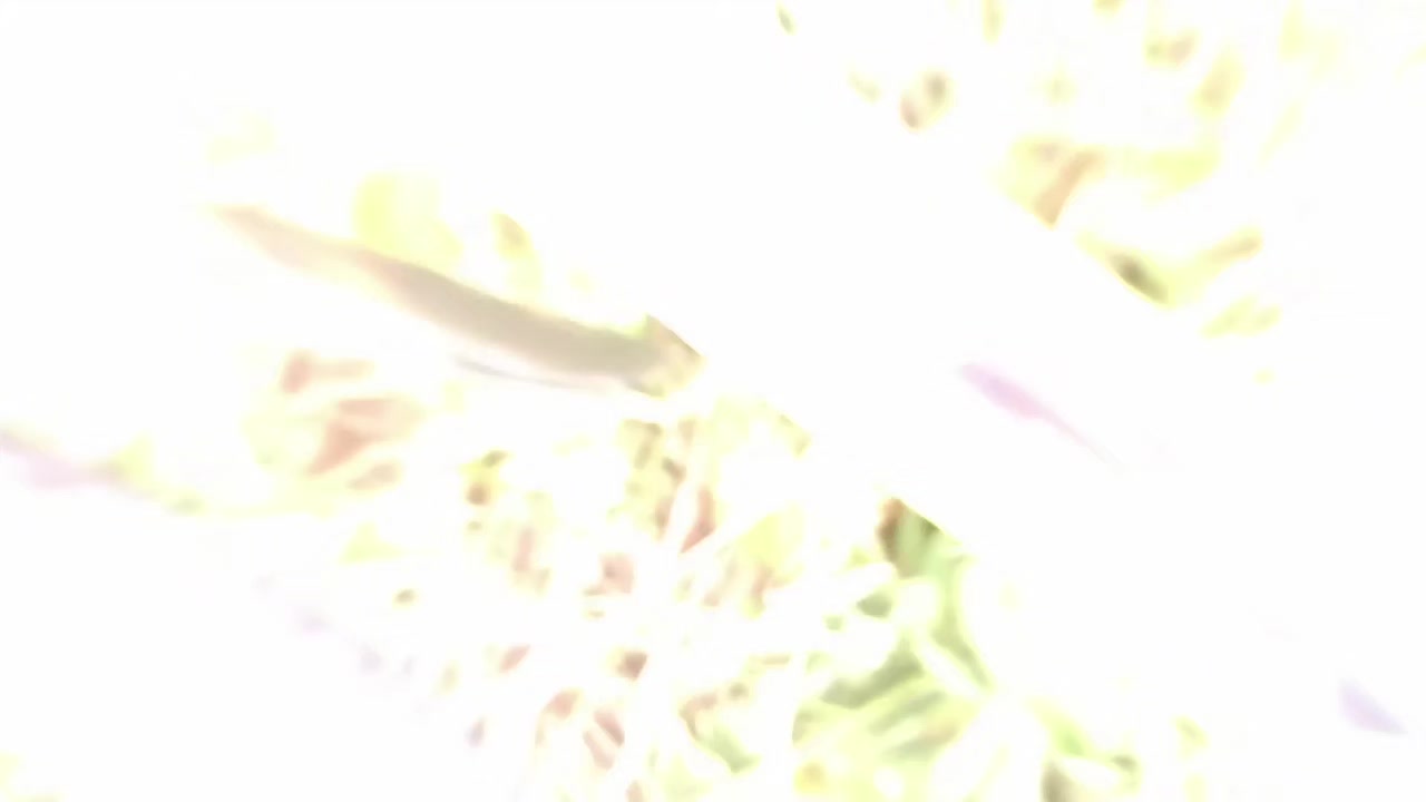 @♪𝓓𝓪𝓿𝓲𝓭†