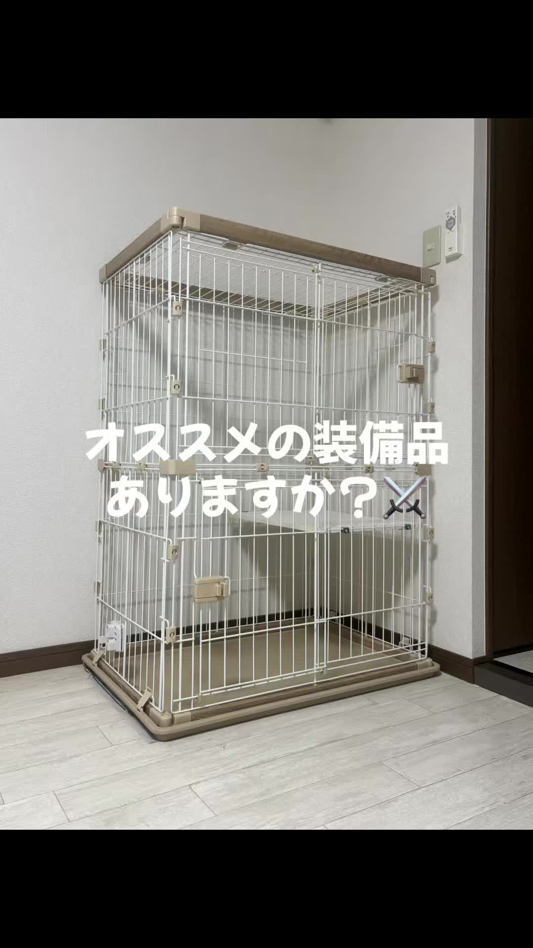 @チンチラ飼いたいアラサー女子