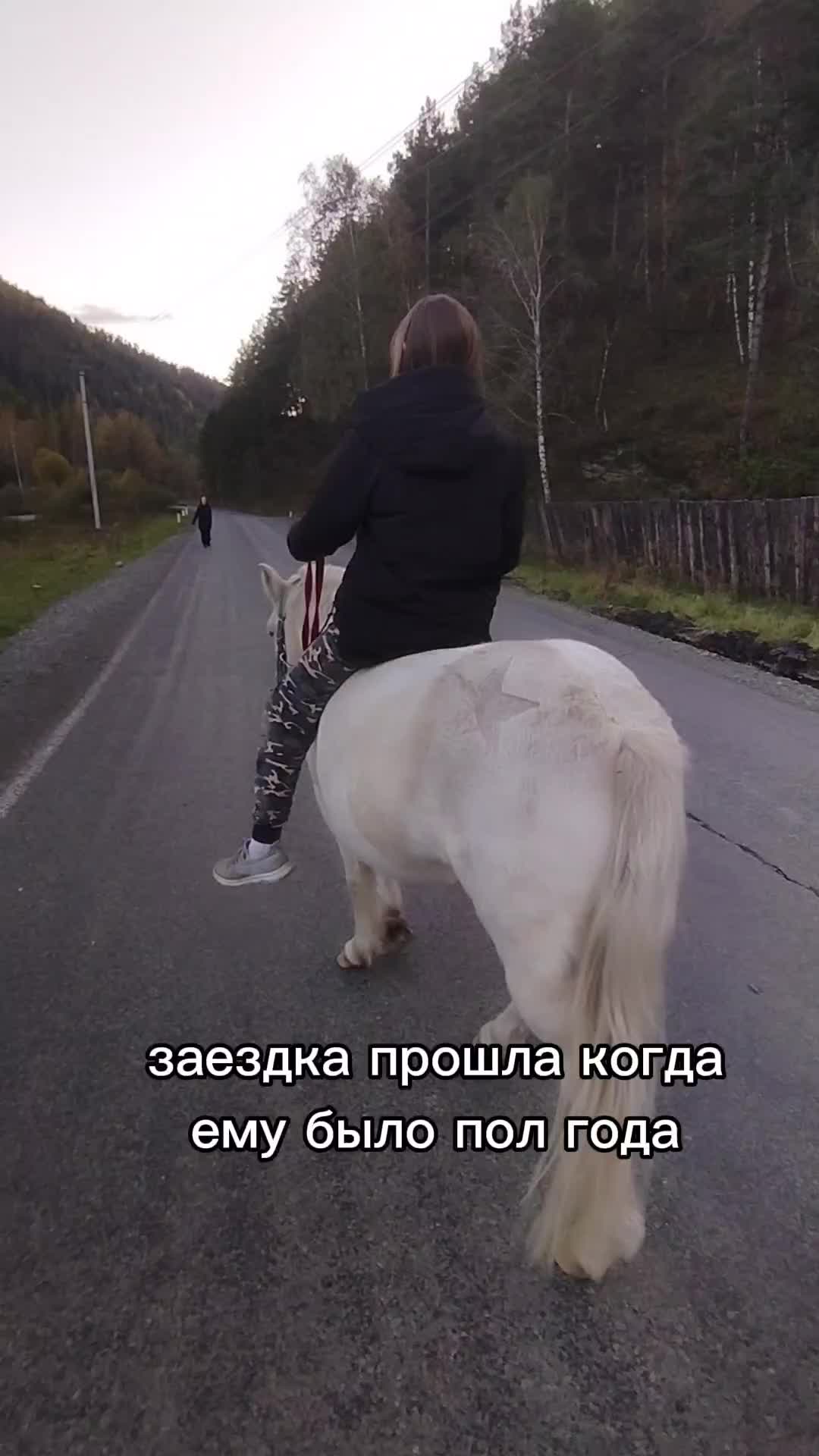 @Ladiks 🦋