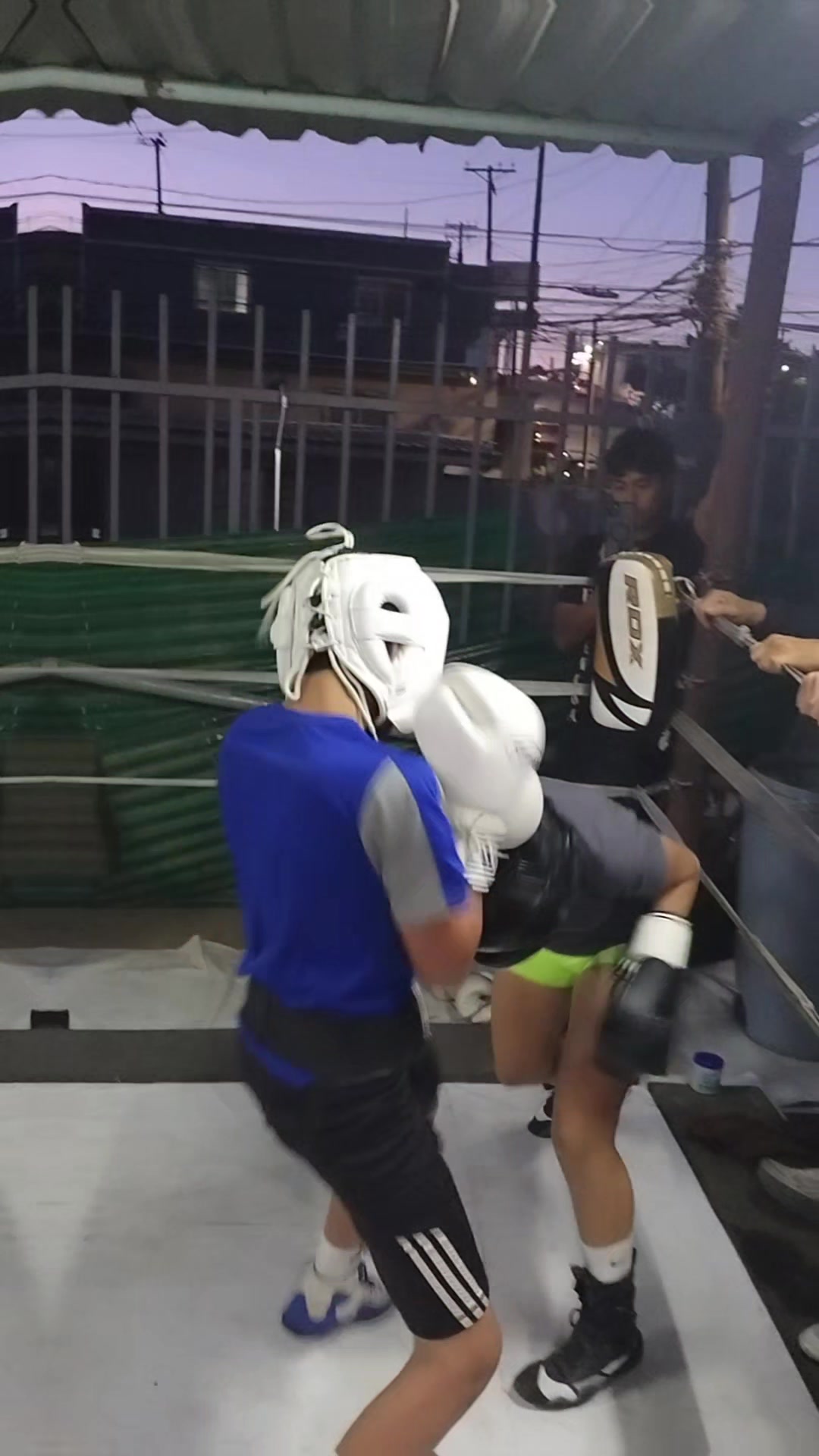 @palas boxing