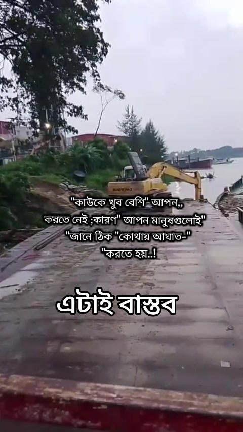 @Sofia Sathi