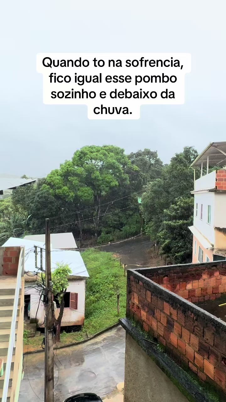@Wesley Esposito 🇧🇷🇮🇹