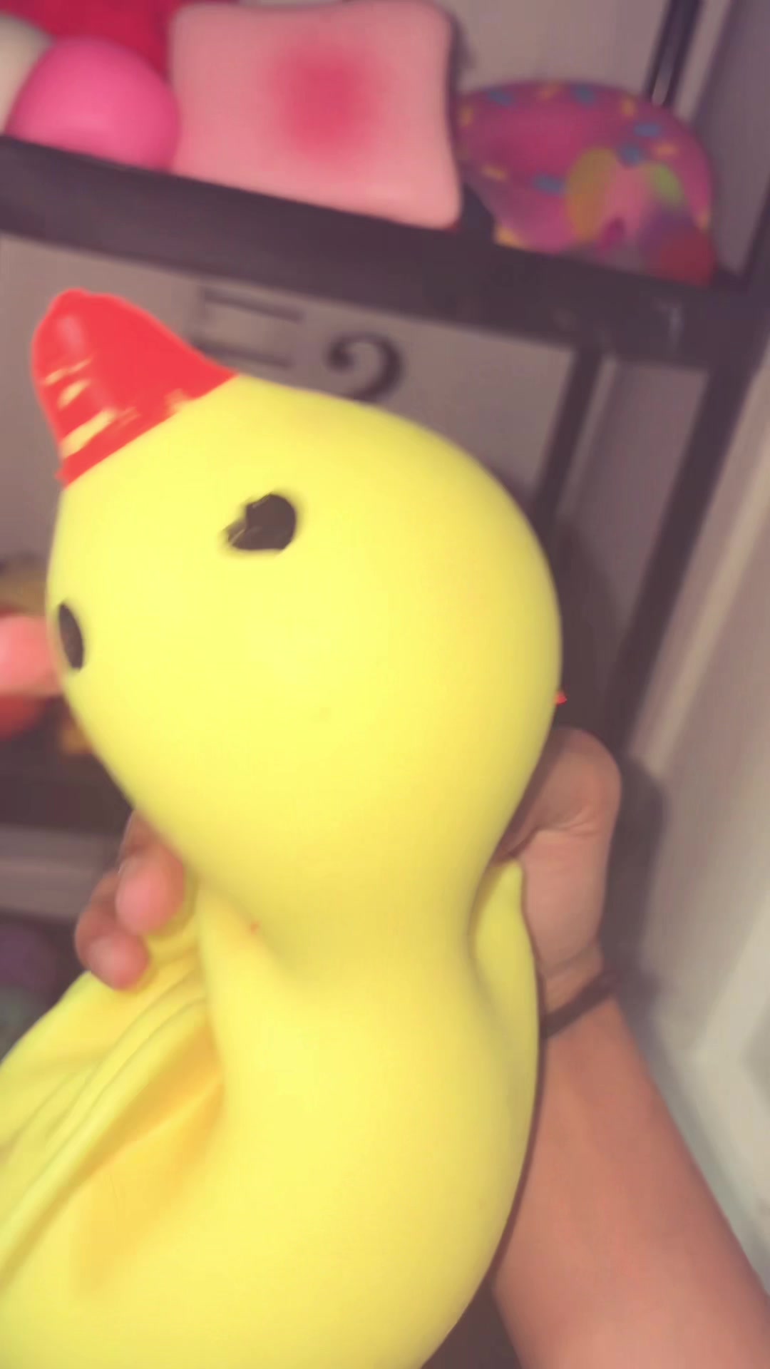 @Squishys!
