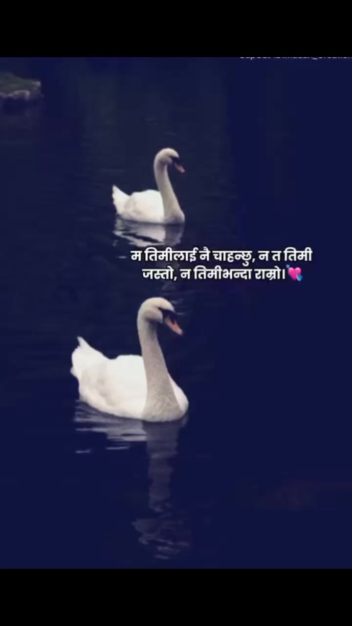 @🫧