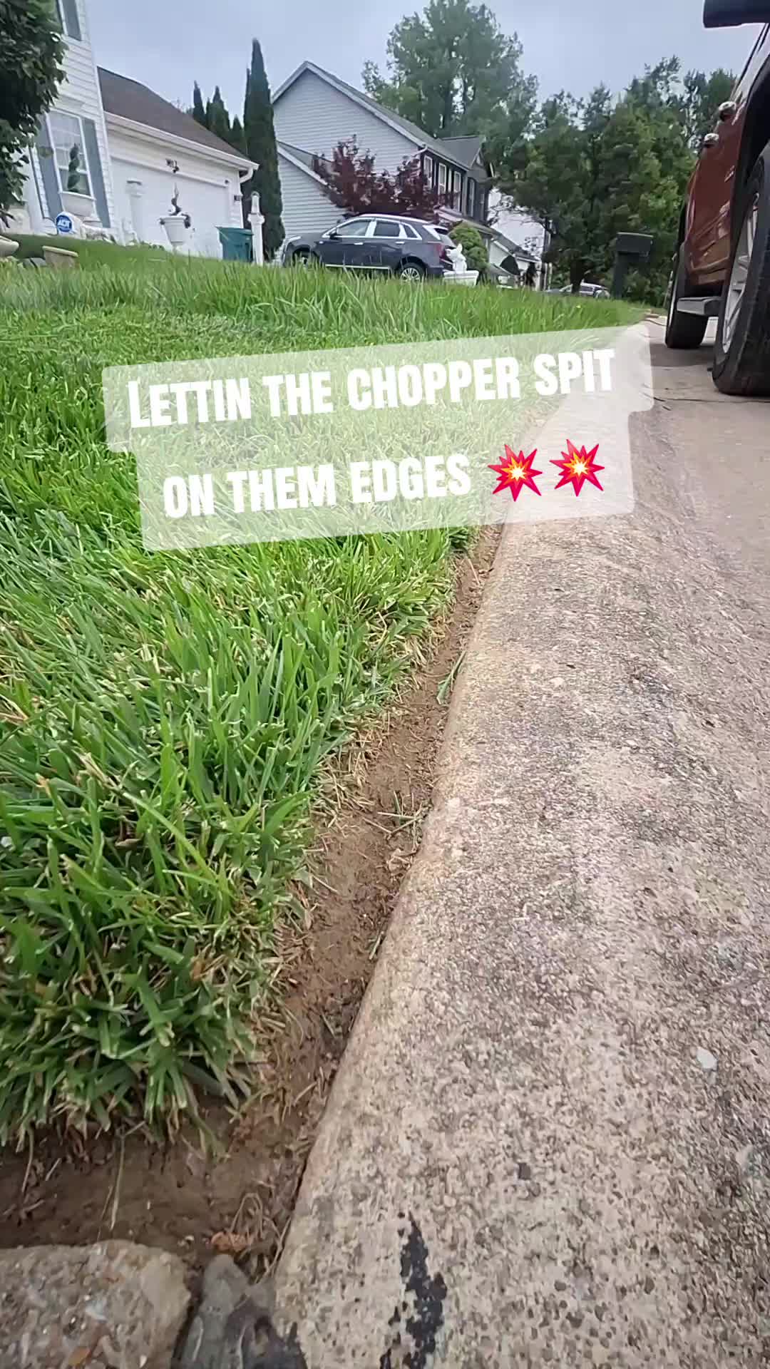@Stripeleader