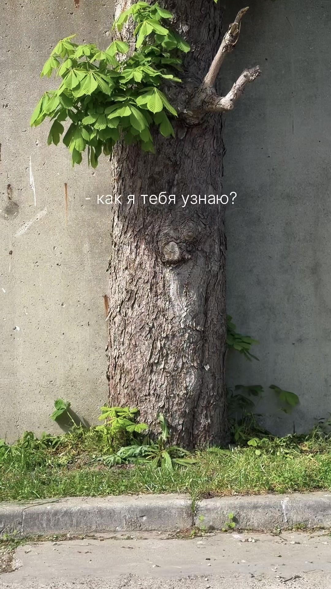 @Natalia L.