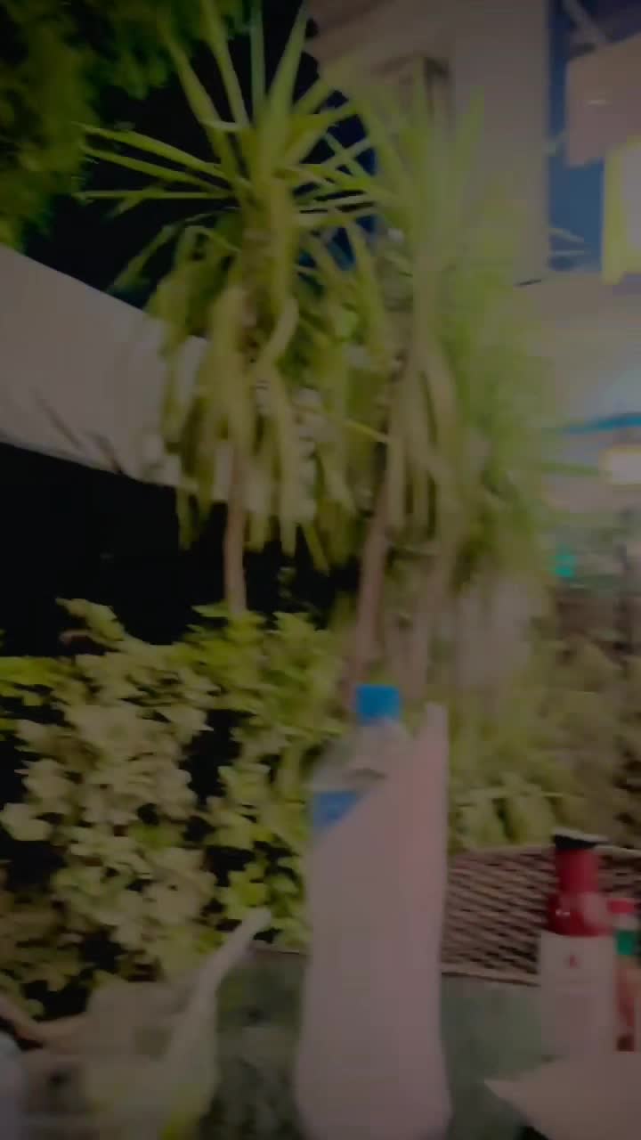 @Tabish_DON👑🥷