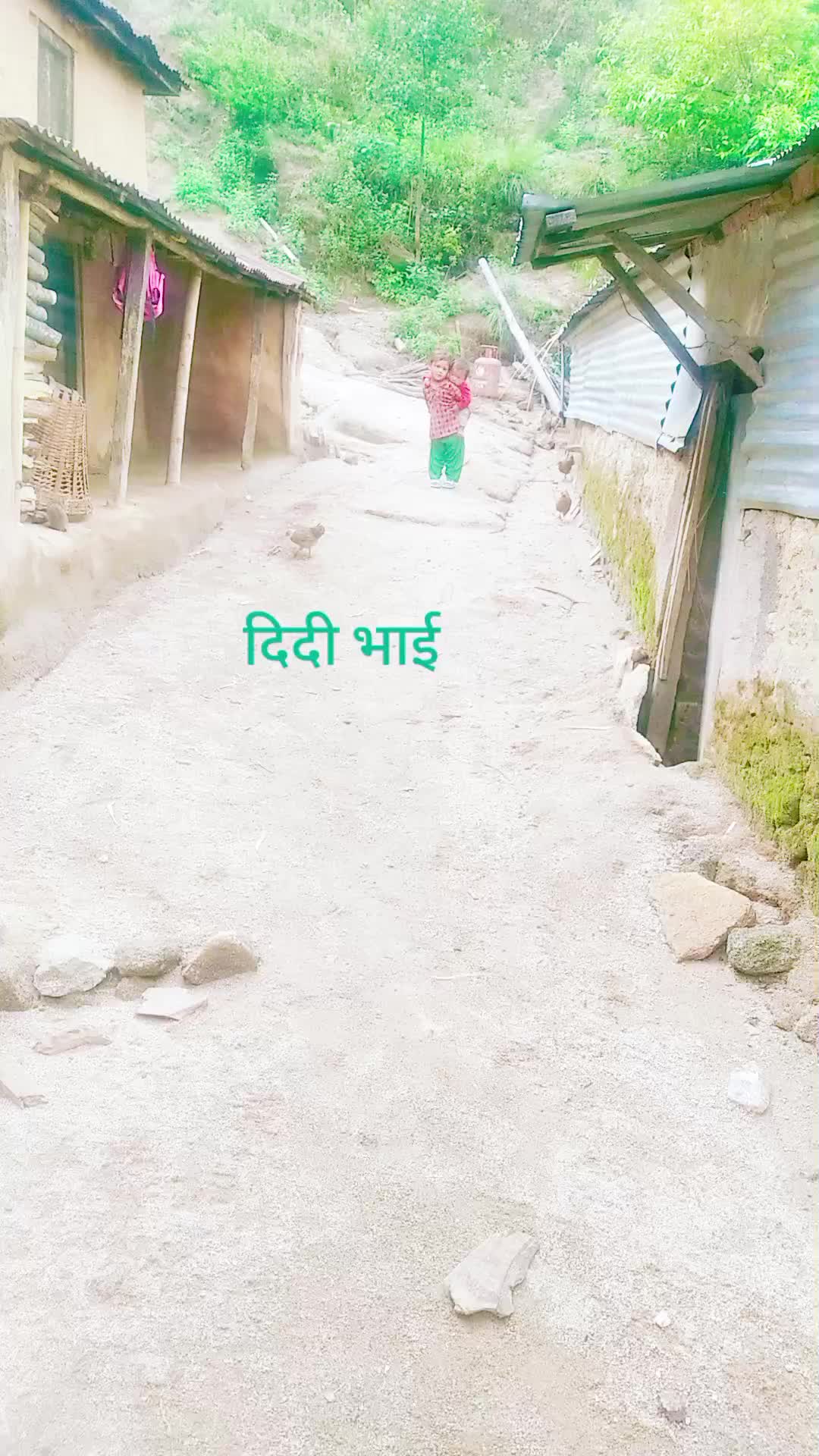 @🐯Rumba🌄 Surya☀️🇳🇵