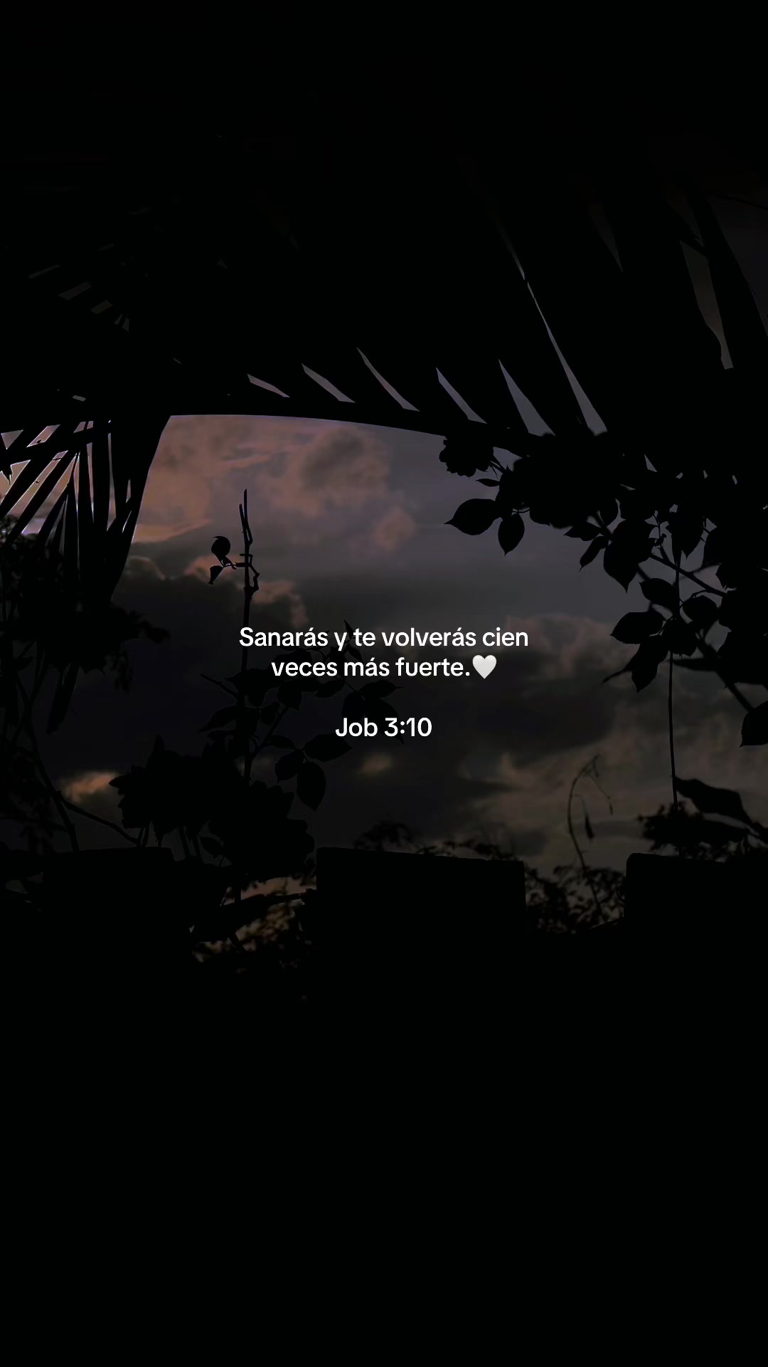 @๐ฅ๐
La naturaleza ๐๐