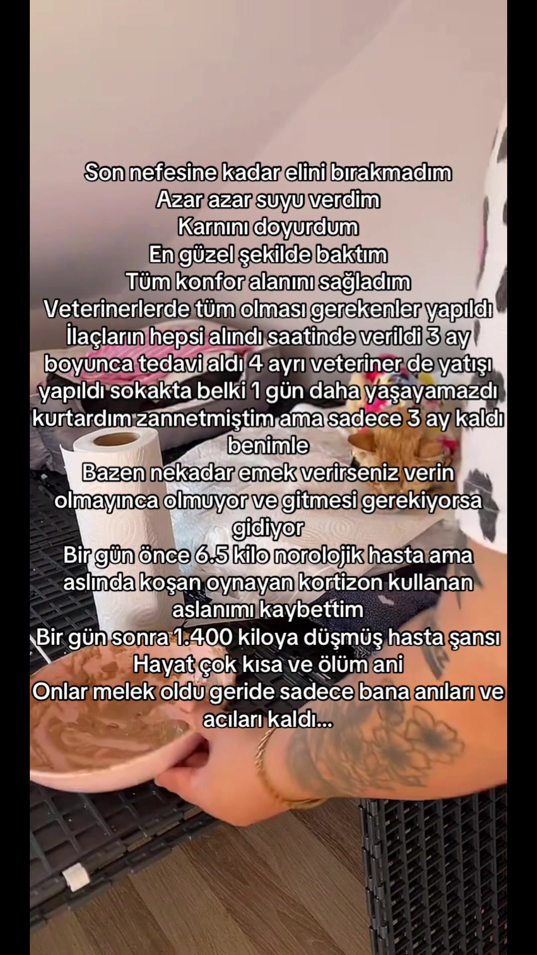 @yudummz_