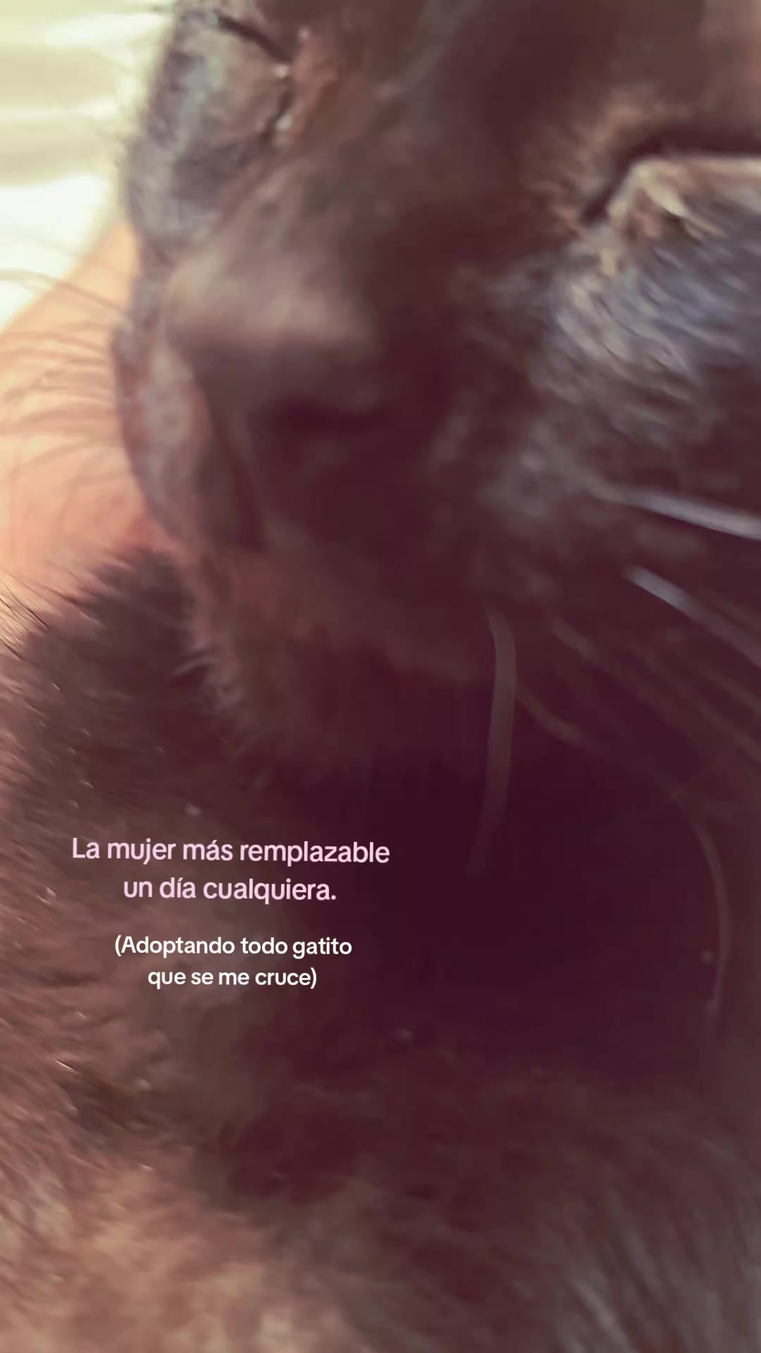 @mary🐱💞