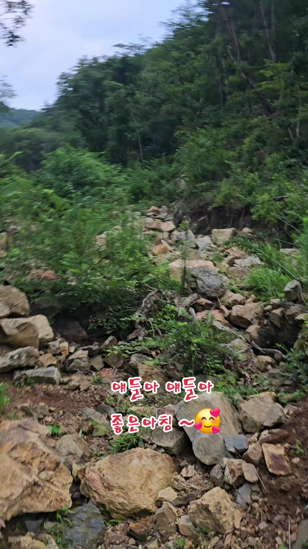 @나는 자연인이다 ~🤪