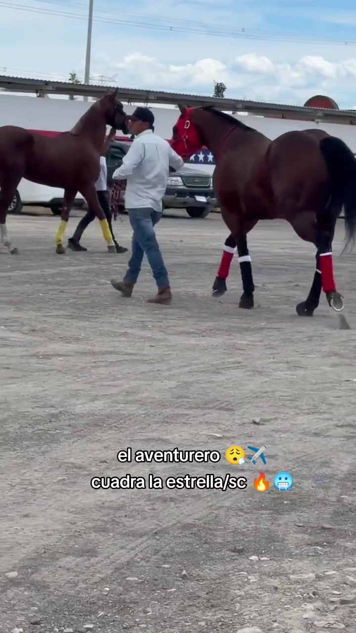 @carriles altos de jalisco🐎