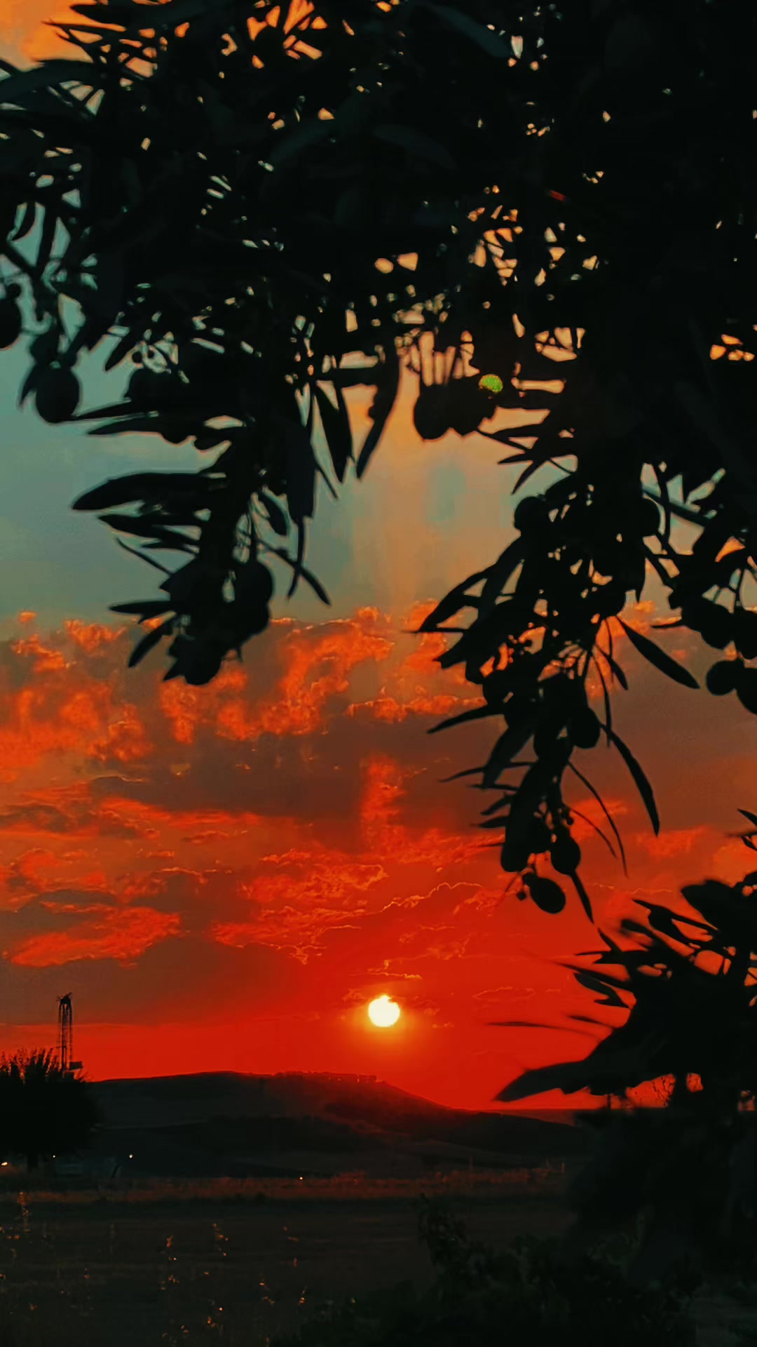 @𝐒.☀️