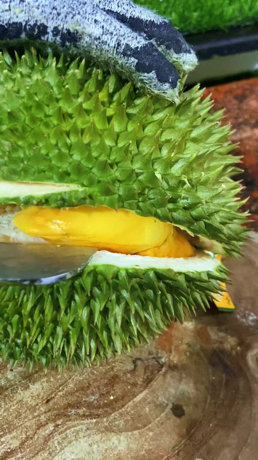 @Cicip Durian