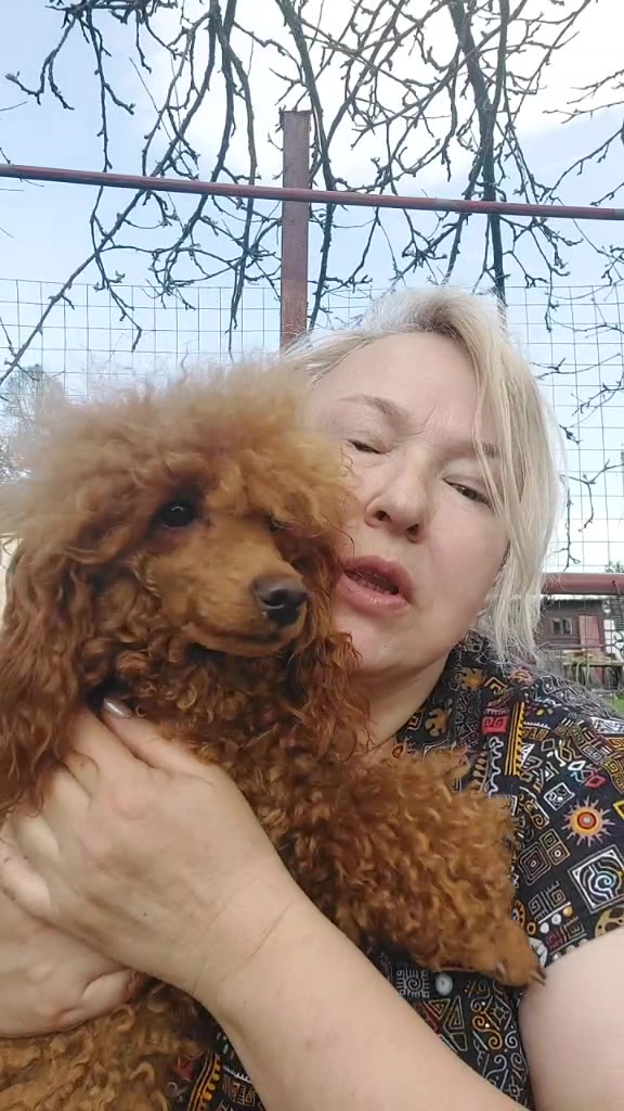 @Люси Кук
