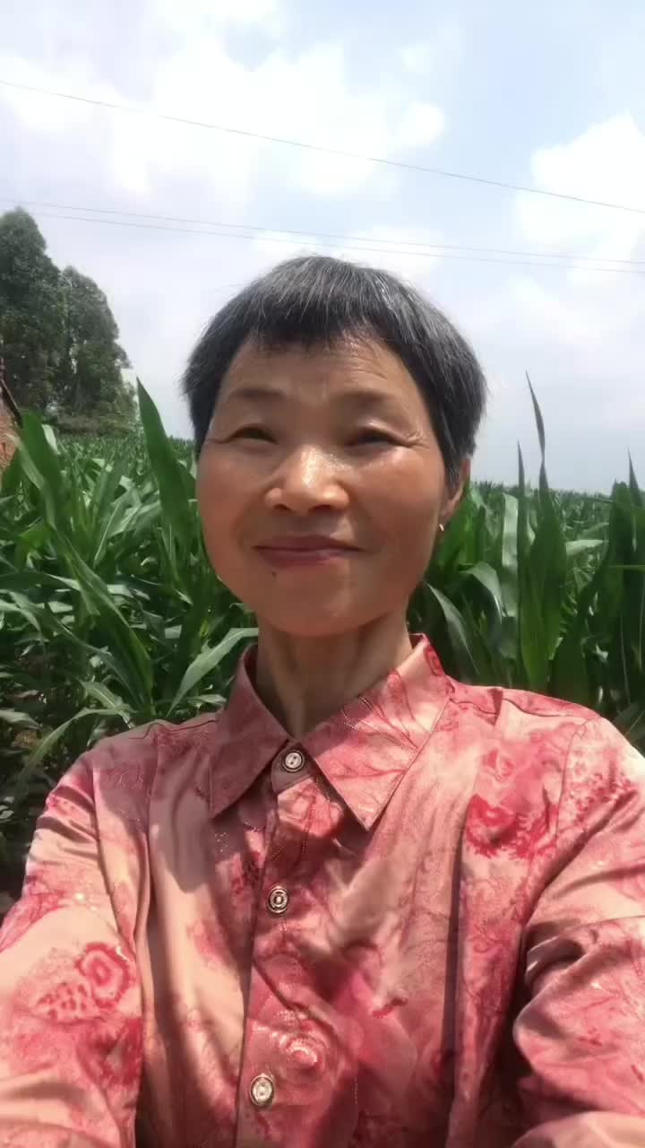 @grandma yan