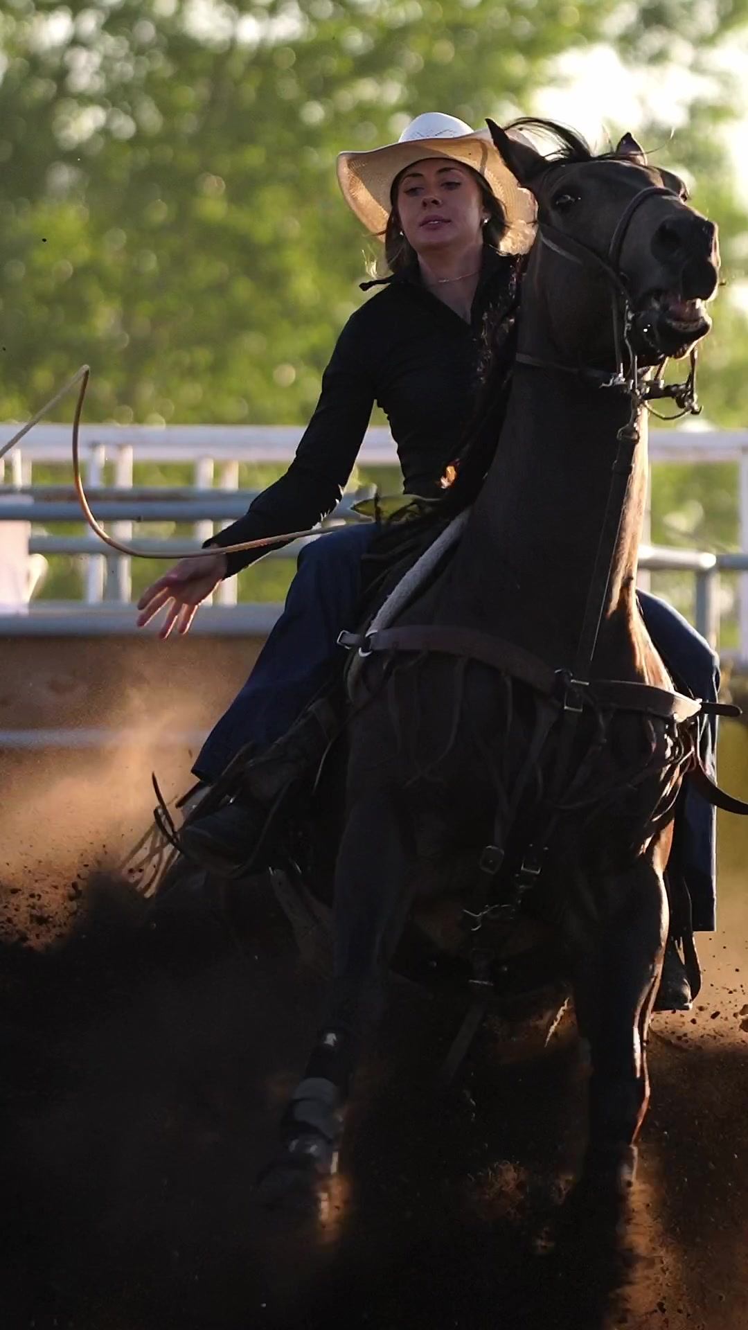@Hanginghorses