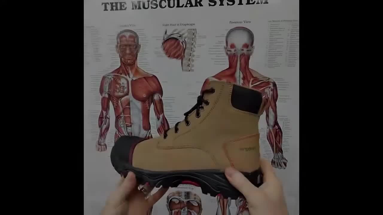 @ergonx