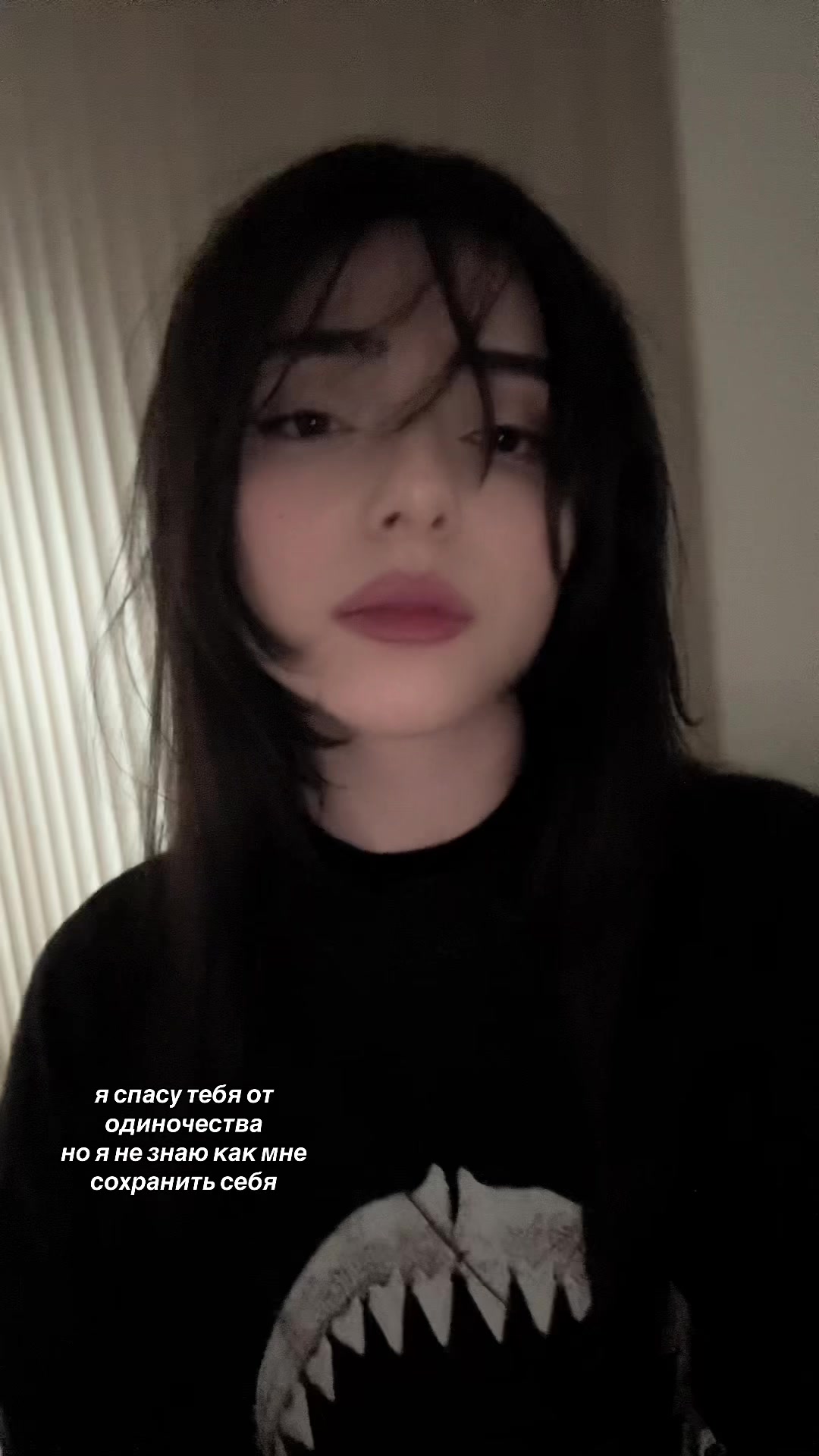 @_vinc_