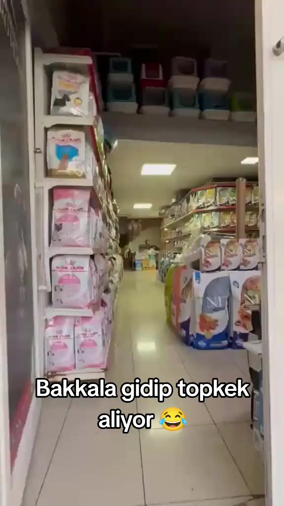 @Kader