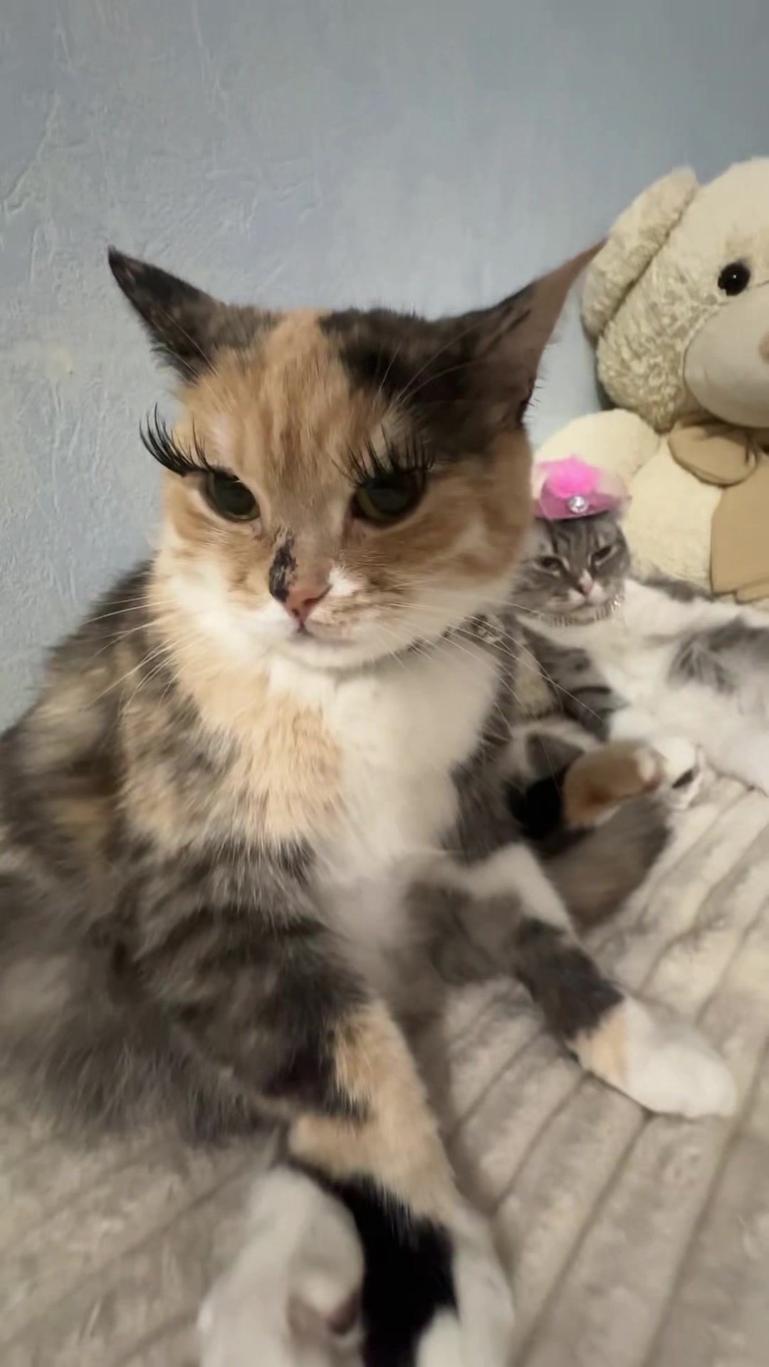 @Chloe 𝜗𝜚 Freya