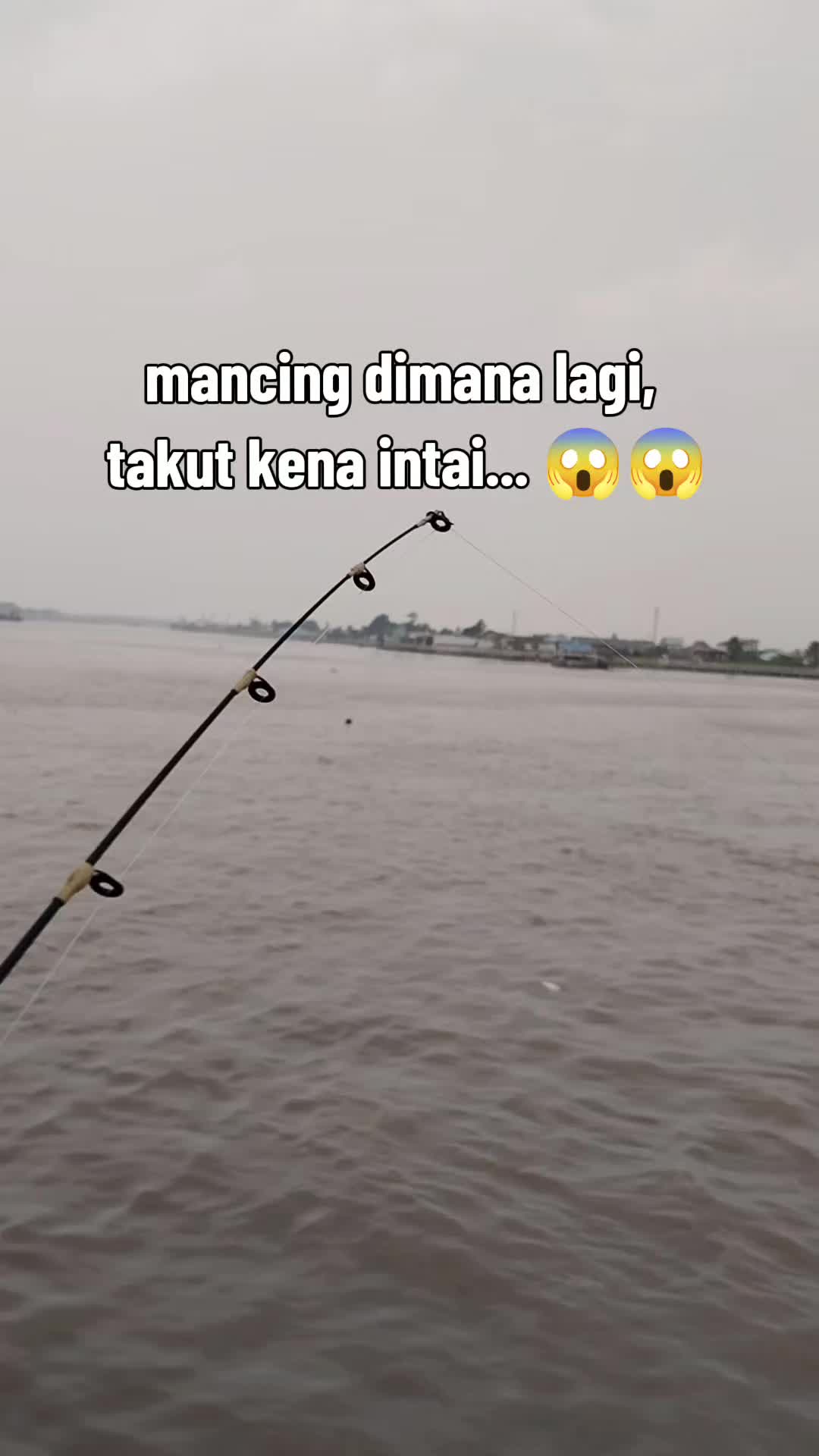 @bhoNaifa