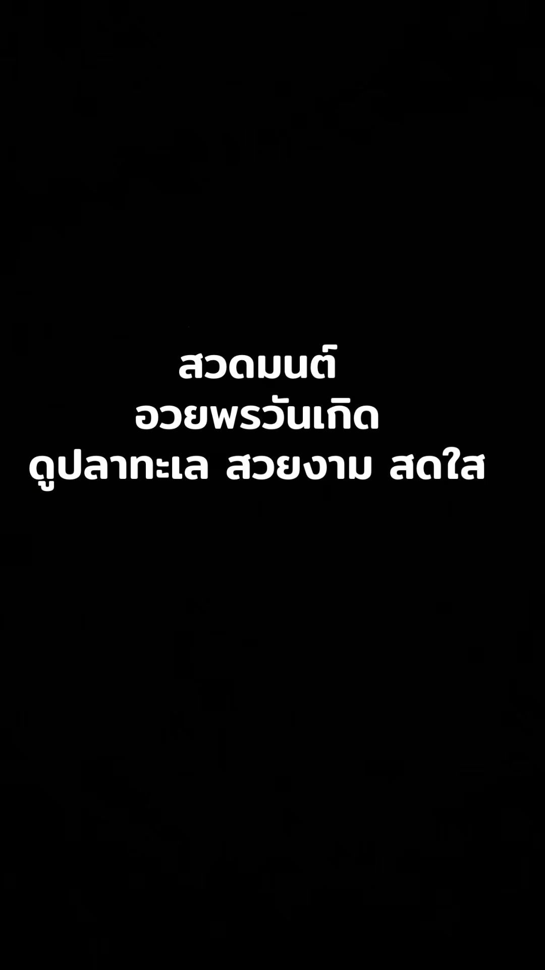 @Panda007