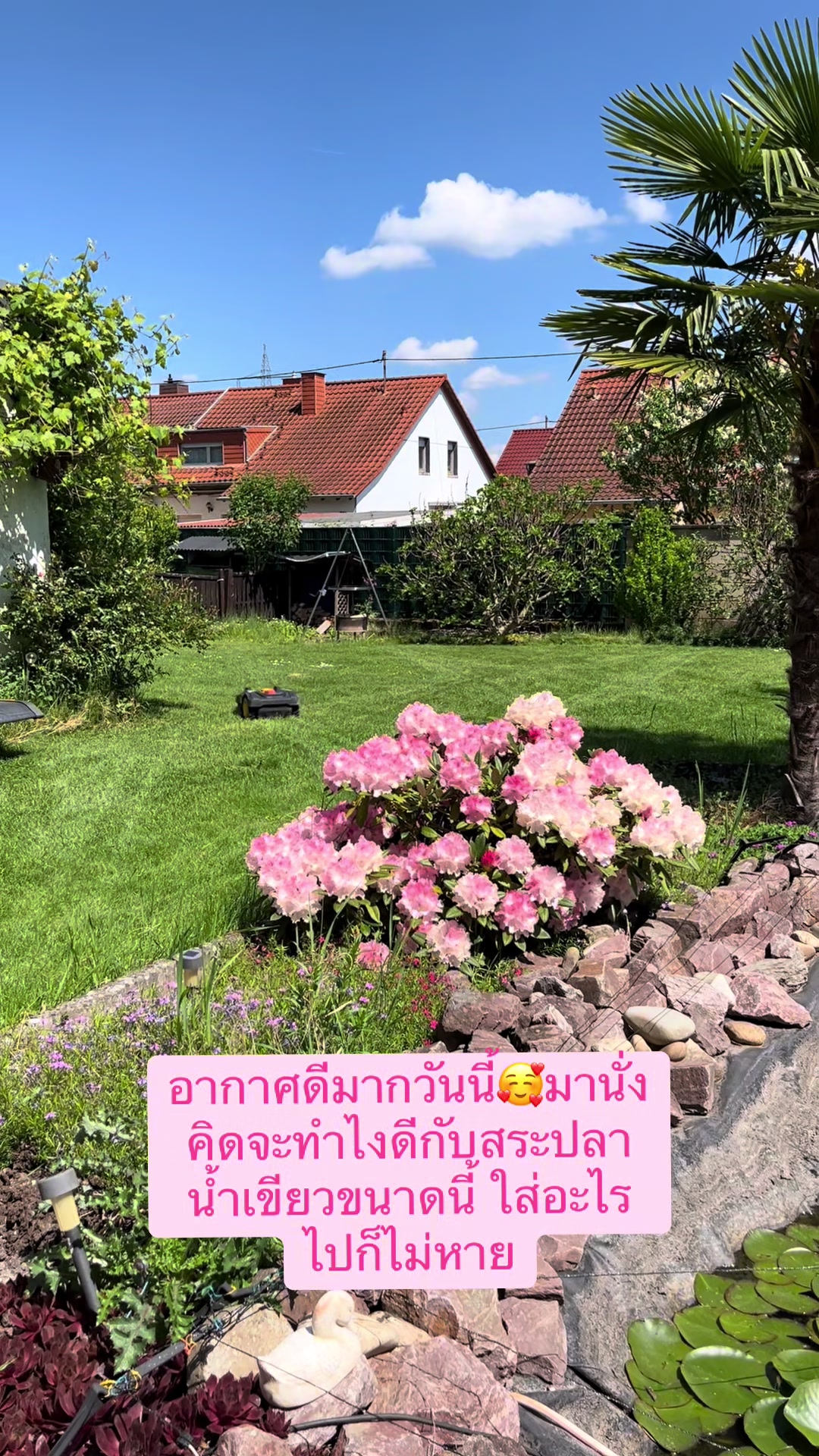@Pin🇩🇪Boffi