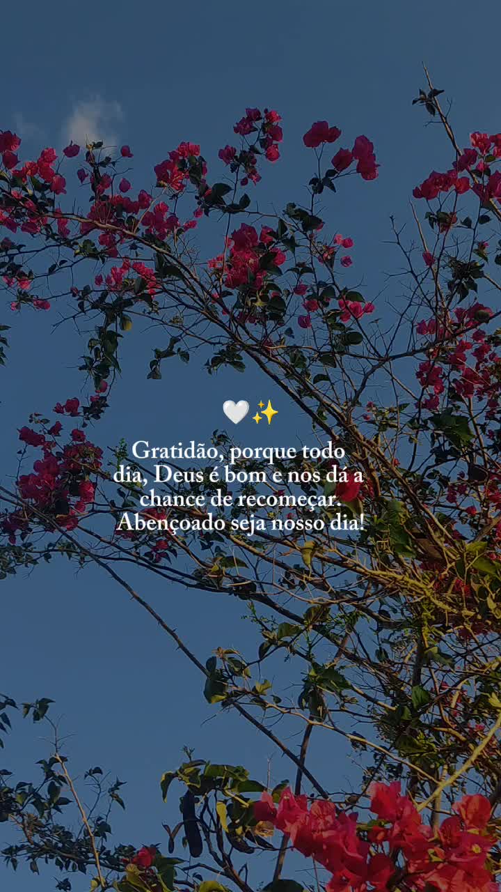 @Sítio Flor de Maria
