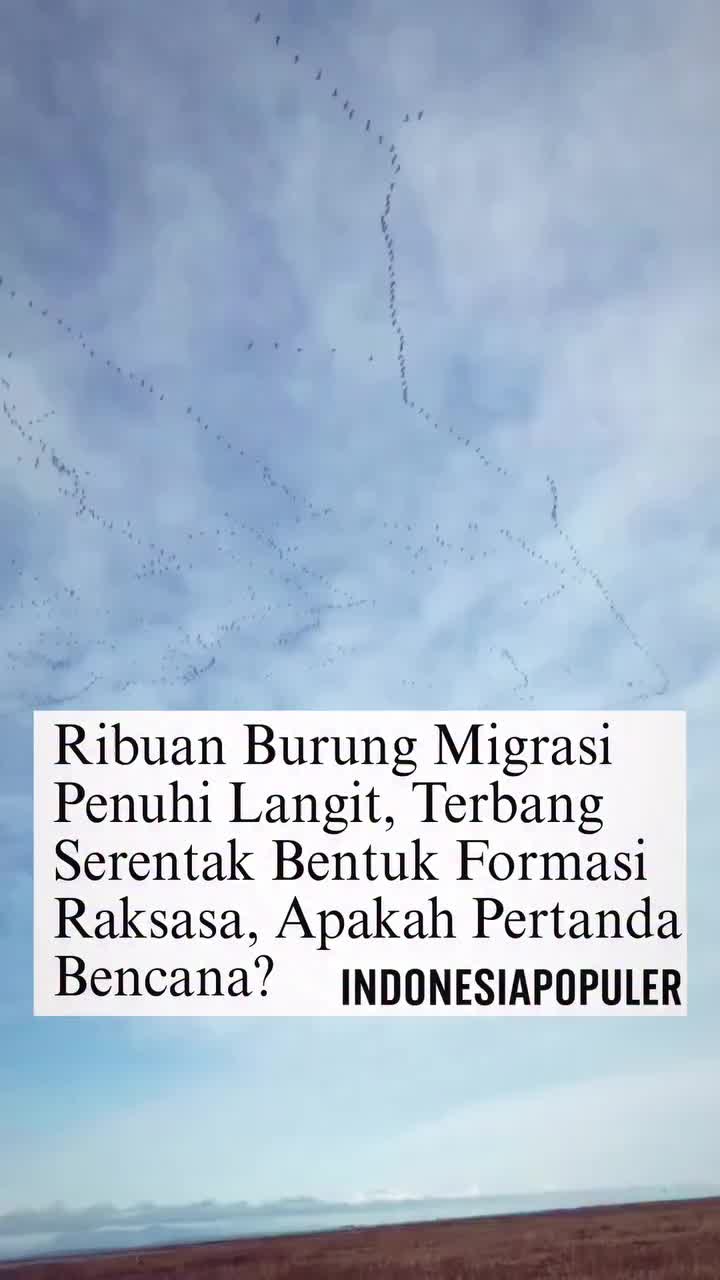 @emi_aRkan