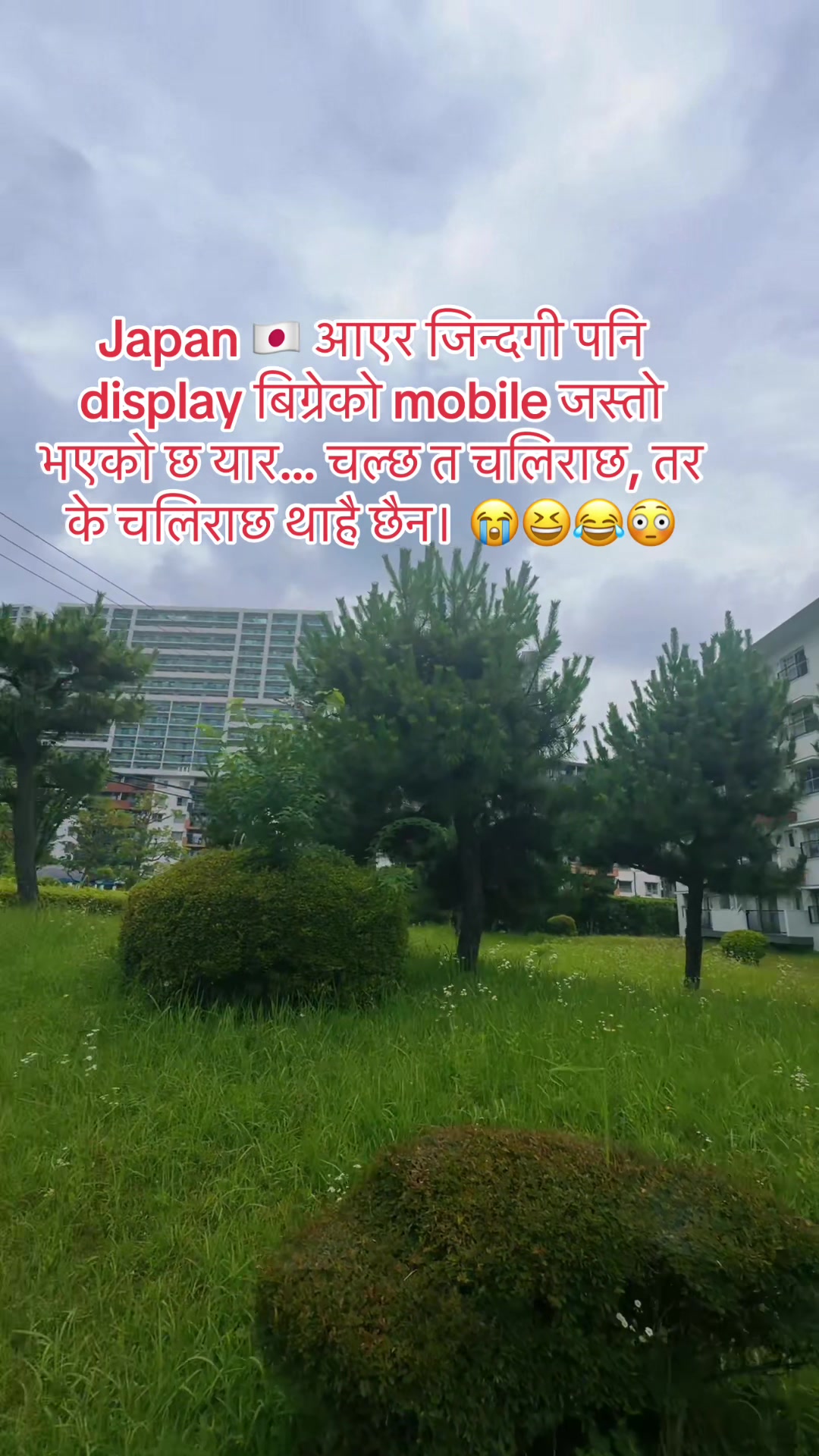 @🕊️