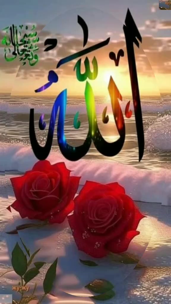 @M Ibrahim