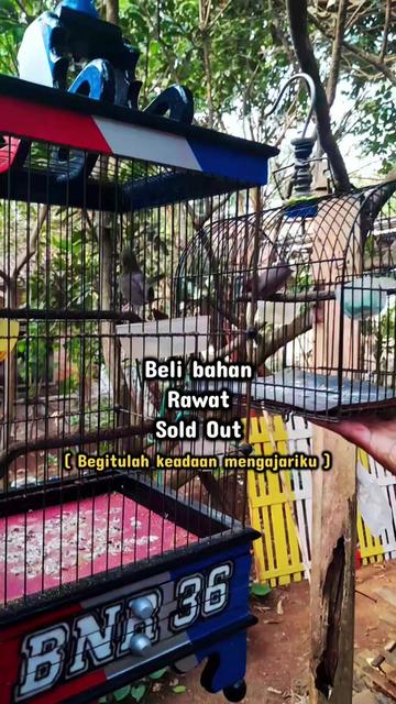 @KAPTEN