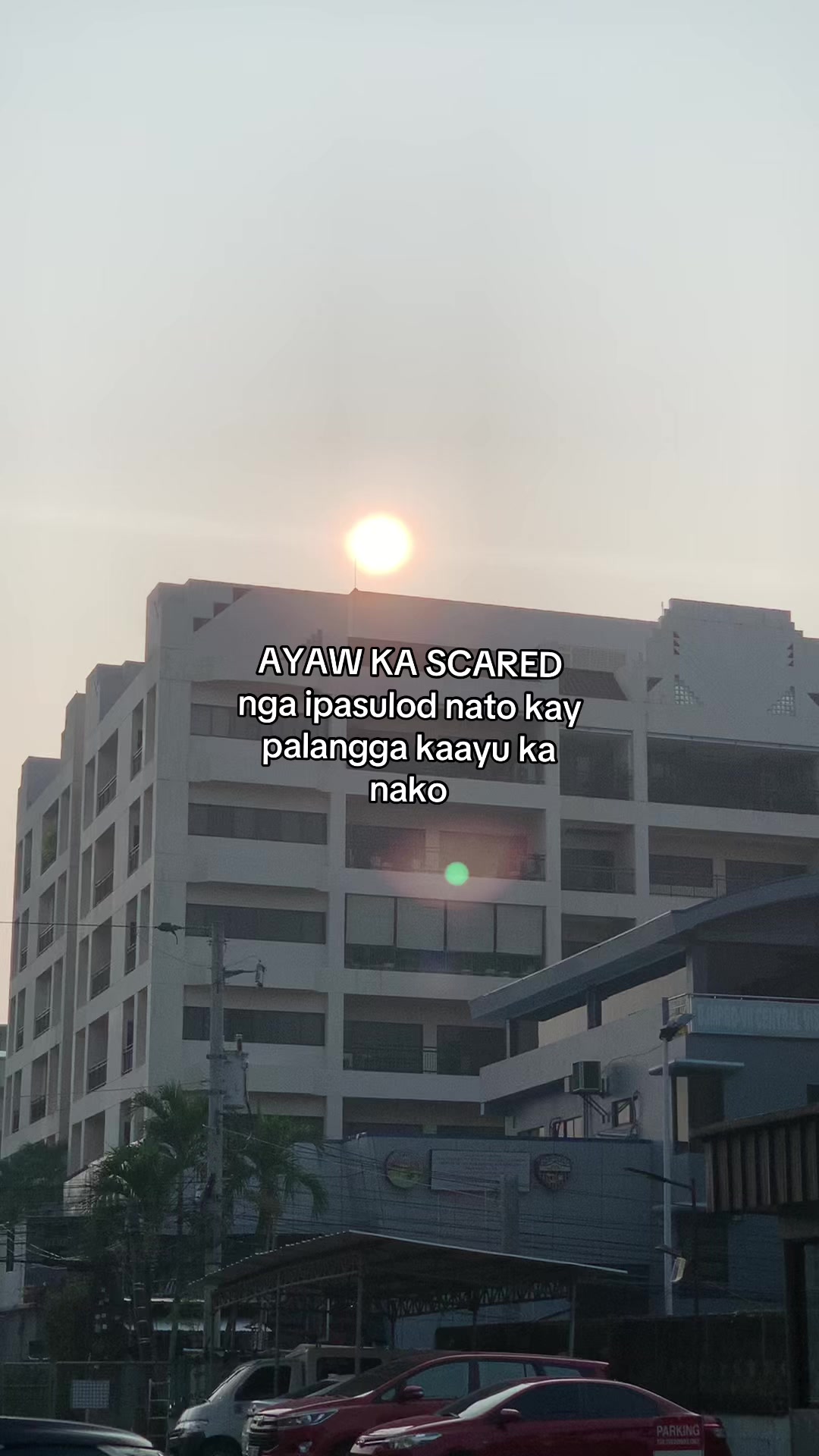 @MR.PISCES