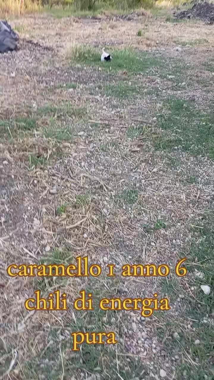 @Zito Calogera