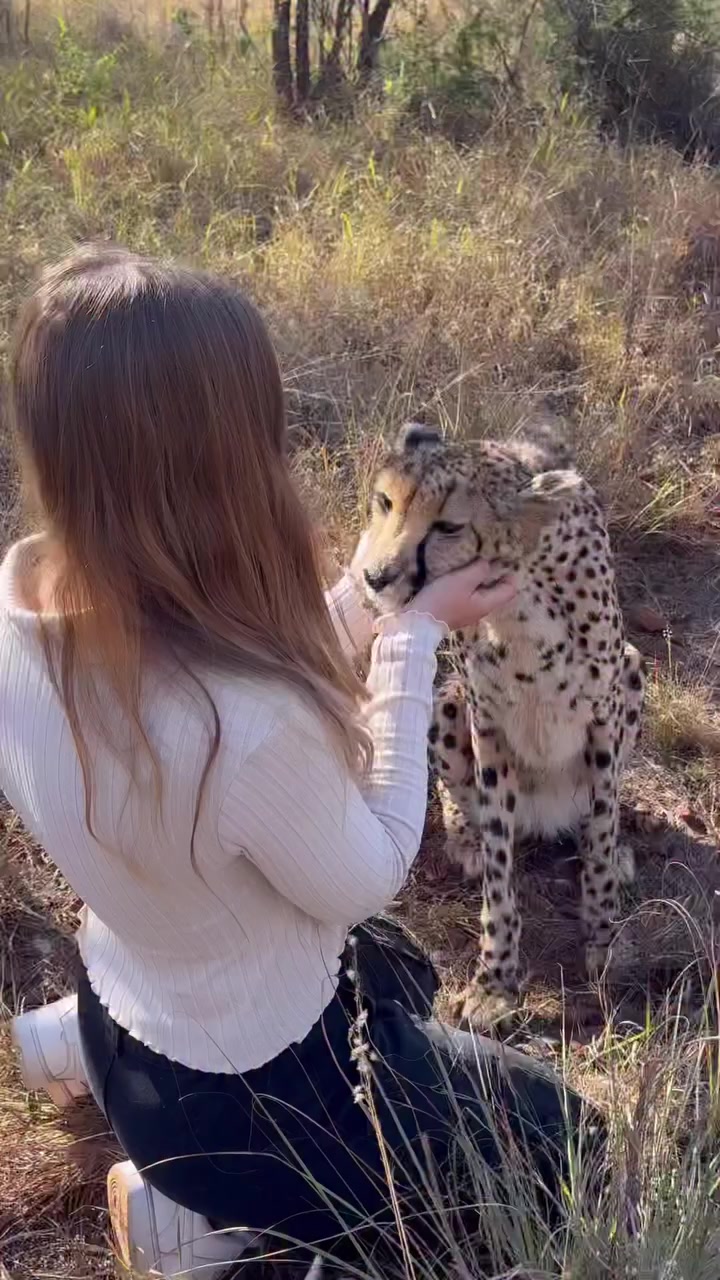 @🐆✨ Lisa Tora Jaqueline