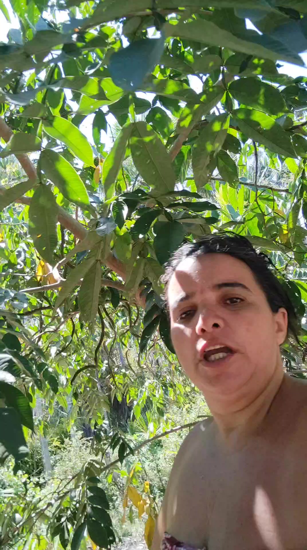 @Dalva Freitas