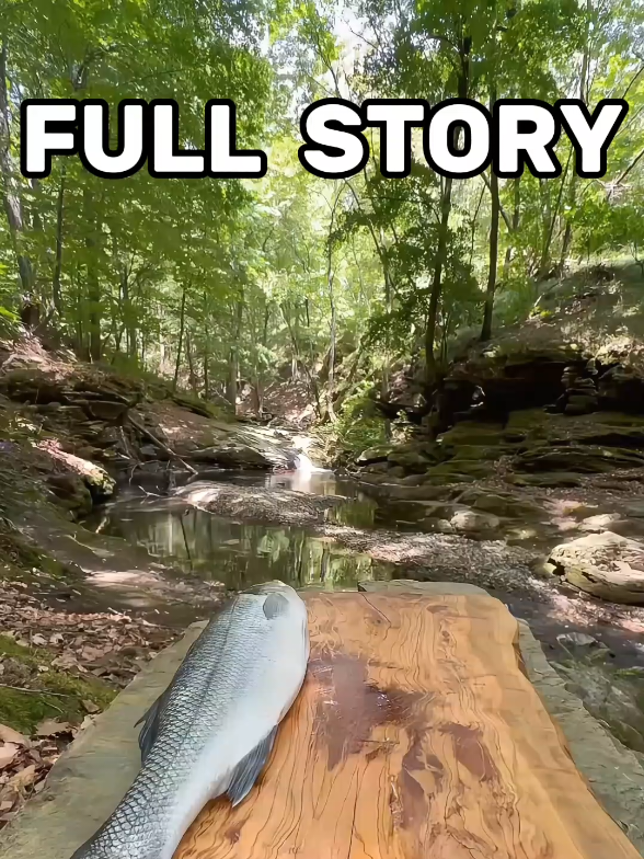 @𝙍𝙚𝙙𝙙𝙞𝙩𝙍𝙚𝙖𝙙𝙨