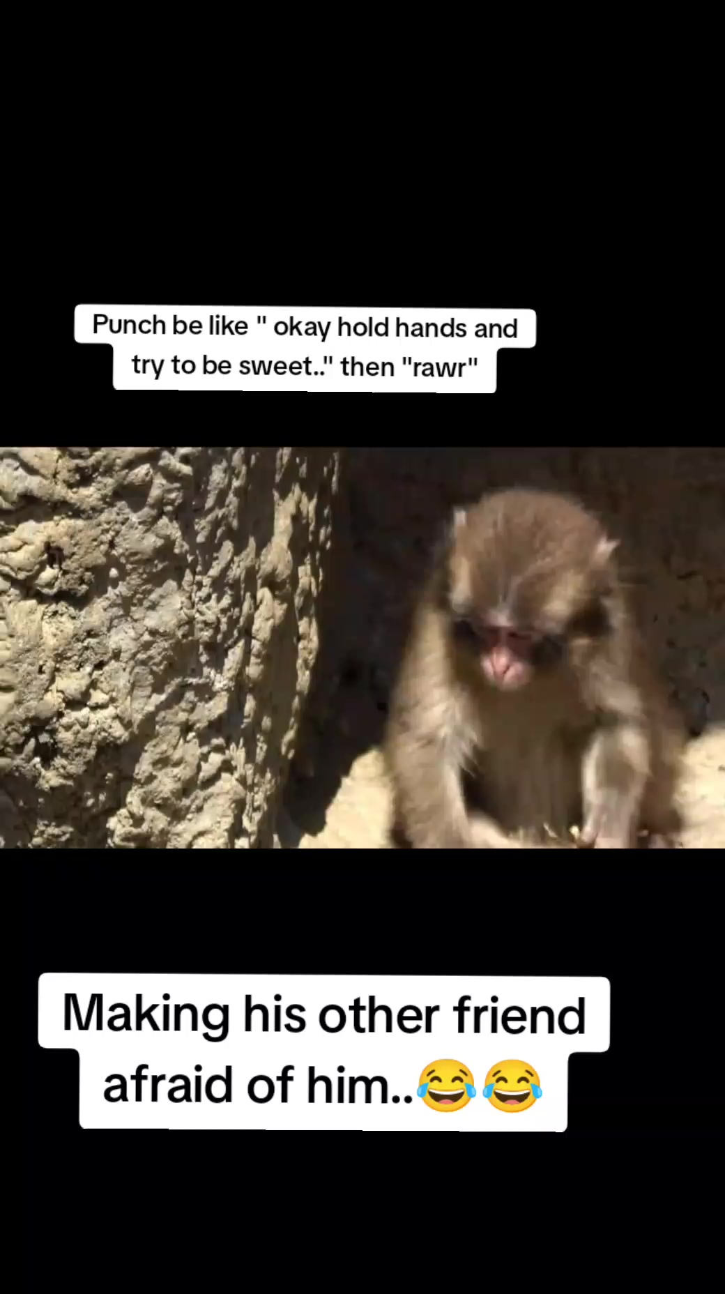 @Mochi/Rusty
