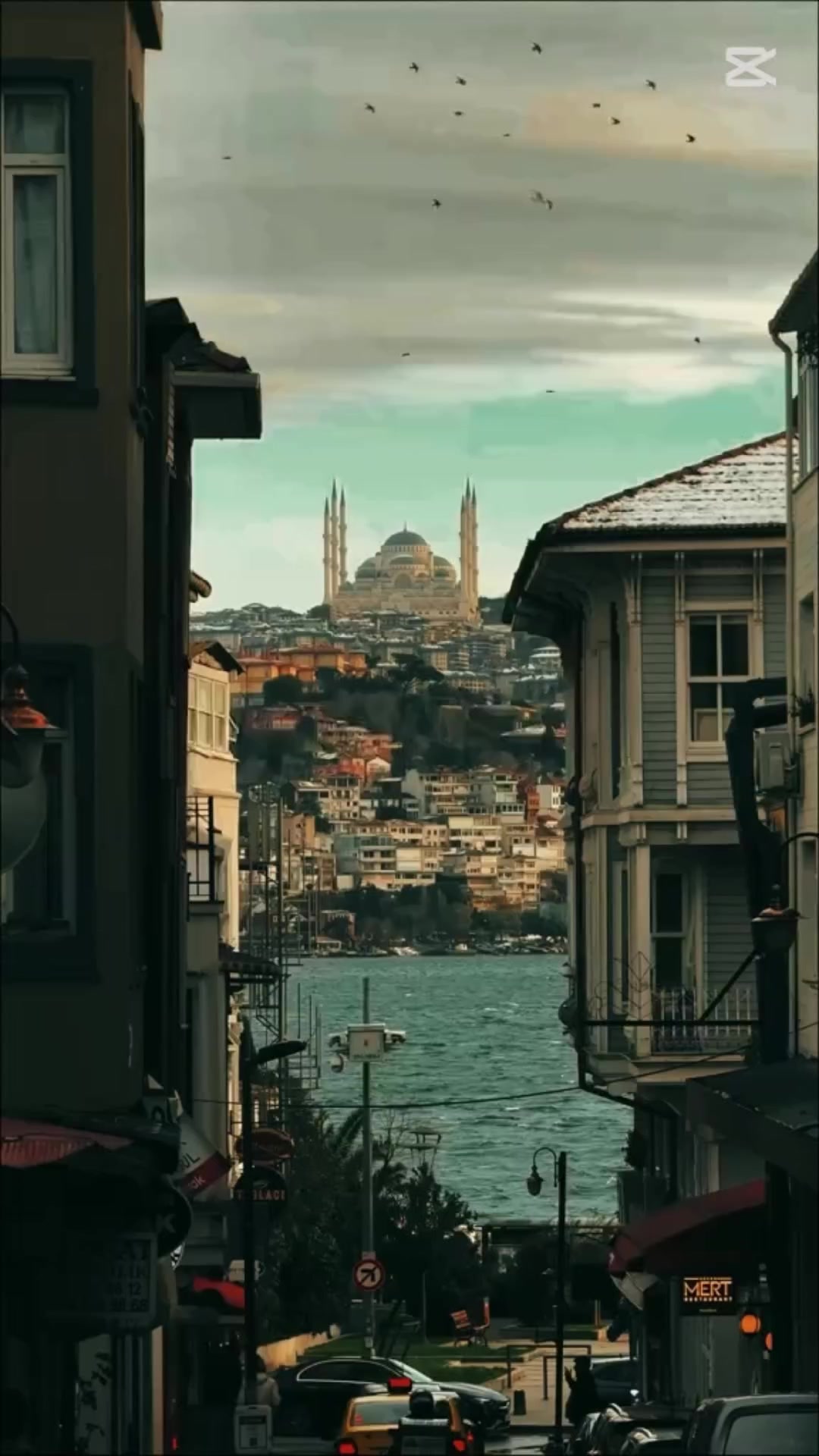 @Aylin taşlı